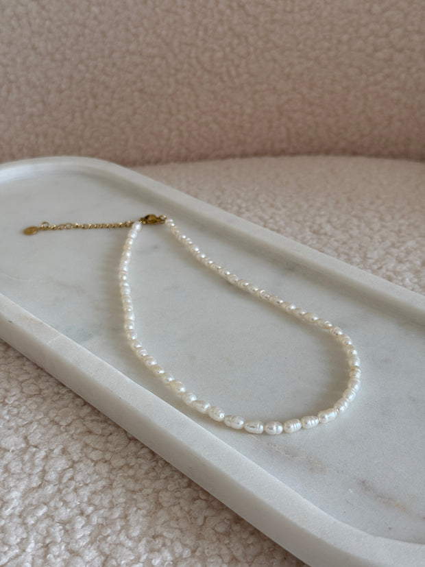 Lunéa Choker – Süßwasserperlen | gold