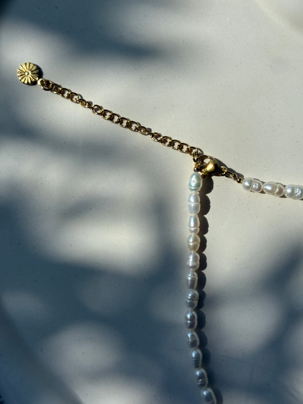 Lunéa Choker – Süßwasserperlen | gold
