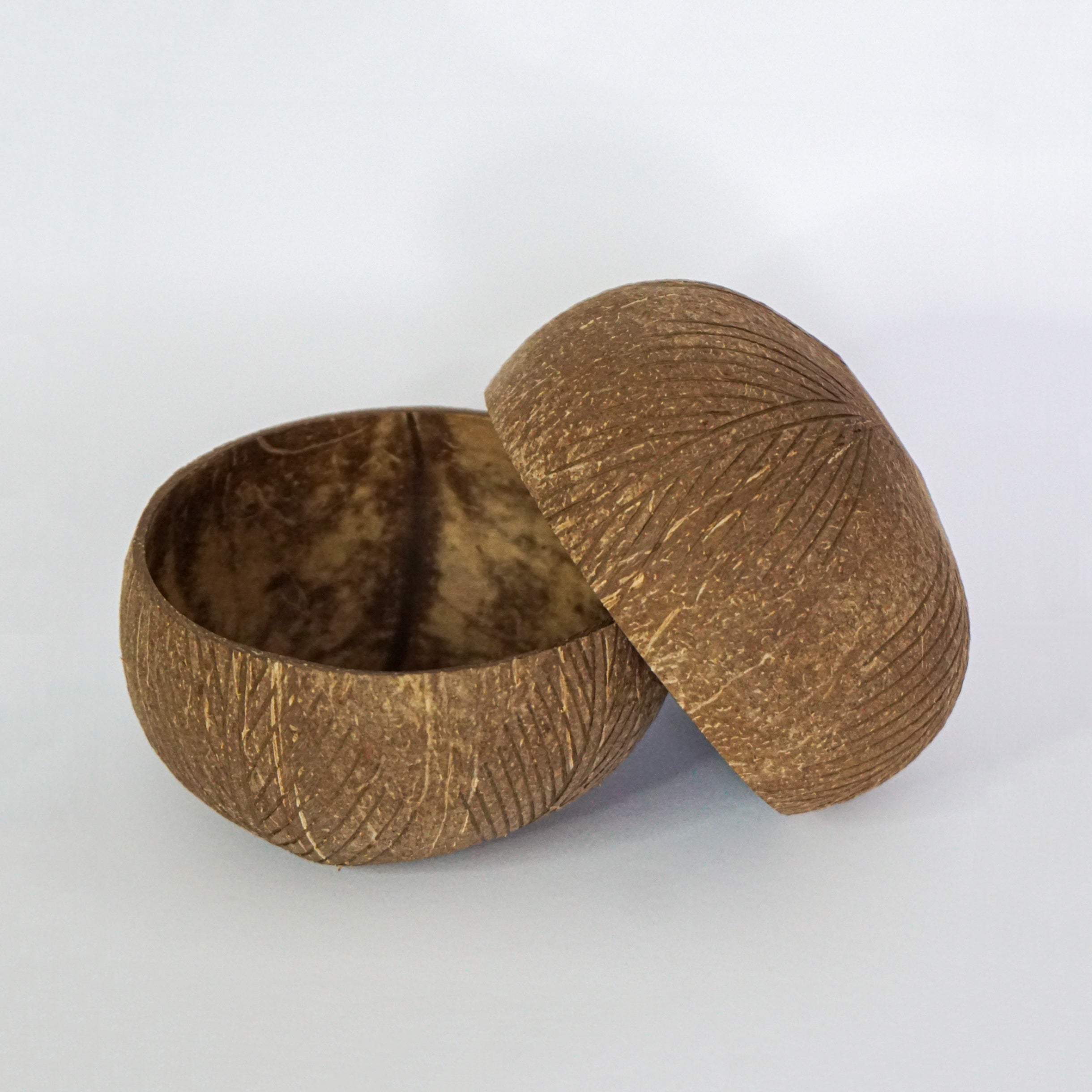 Jumbo Kokosnuss Schale